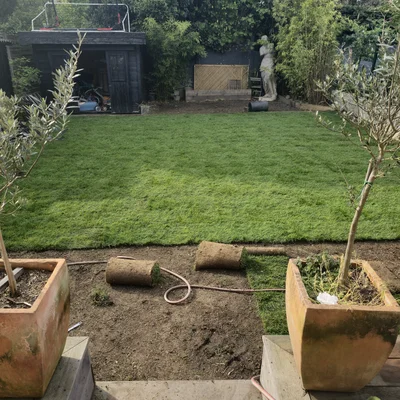 Création et tonte de pelouse